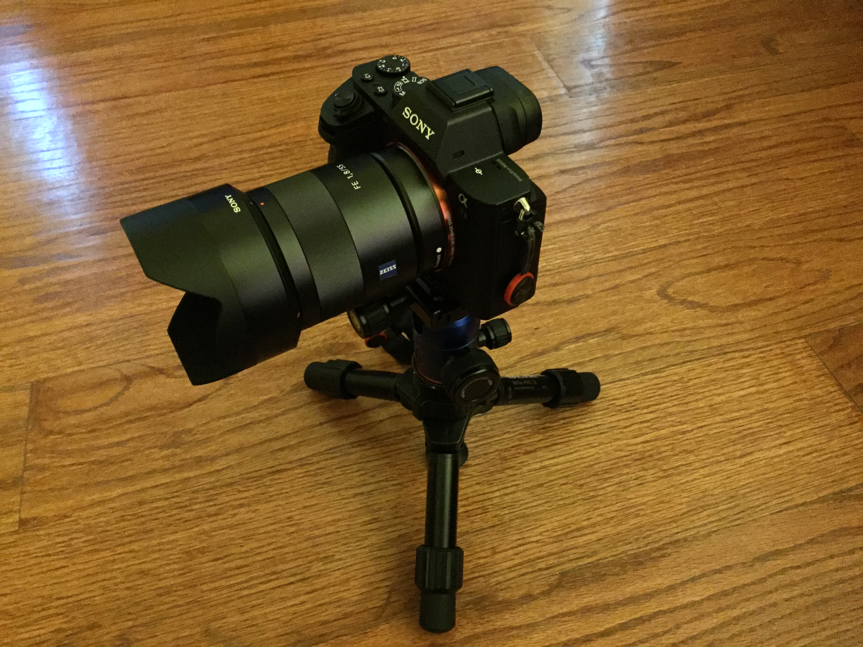Camera & Tripod
