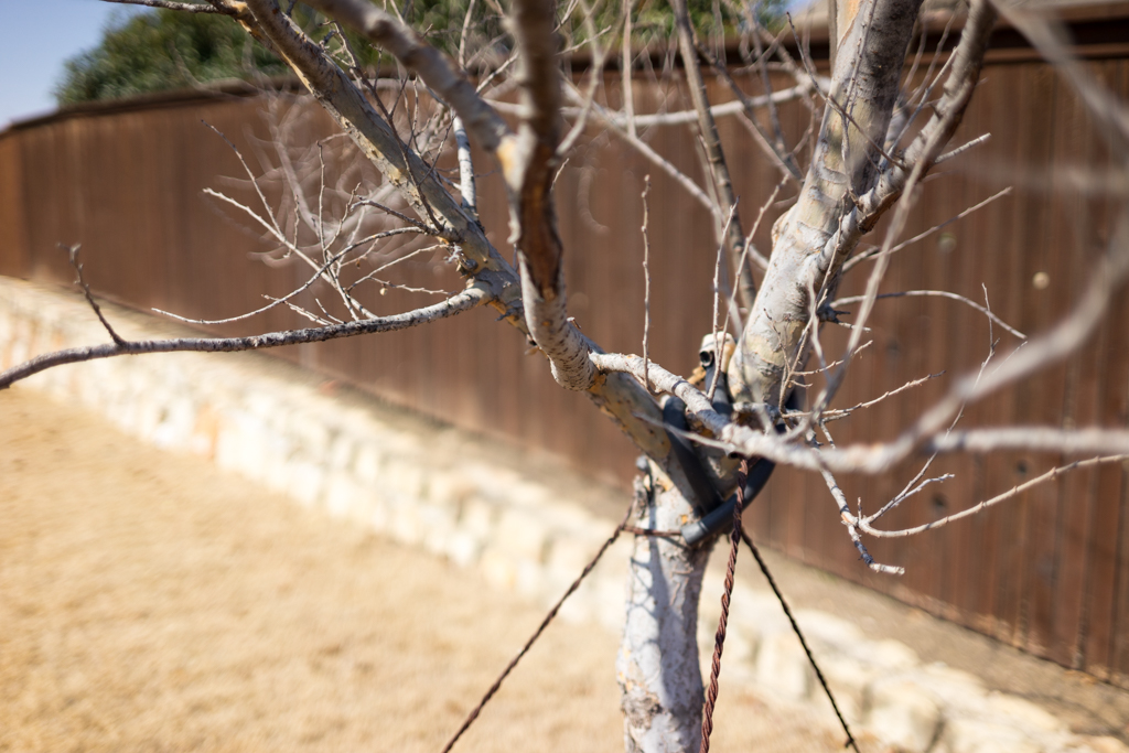 Loxia 35mm f/2 - Sample